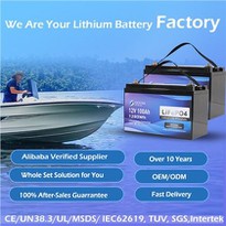 Best 12V 100Ah Lifepo4 Battery